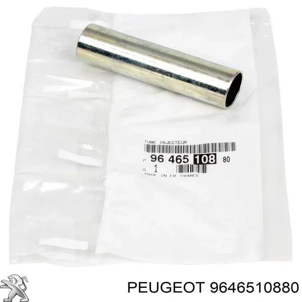 9646510880 Peugeot/Citroen