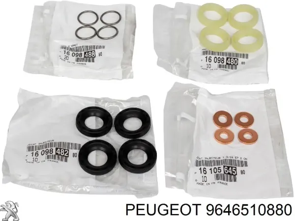 9646510880 Peugeot/Citroen