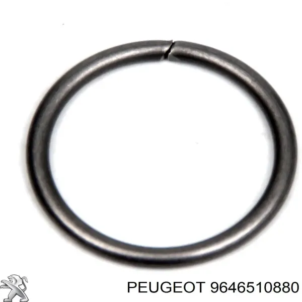 9646510880 Peugeot/Citroen