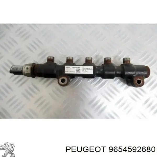 00001920GW Peugeot/Citroen