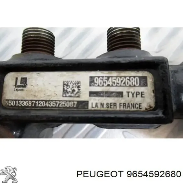 00001920GW Peugeot/Citroen