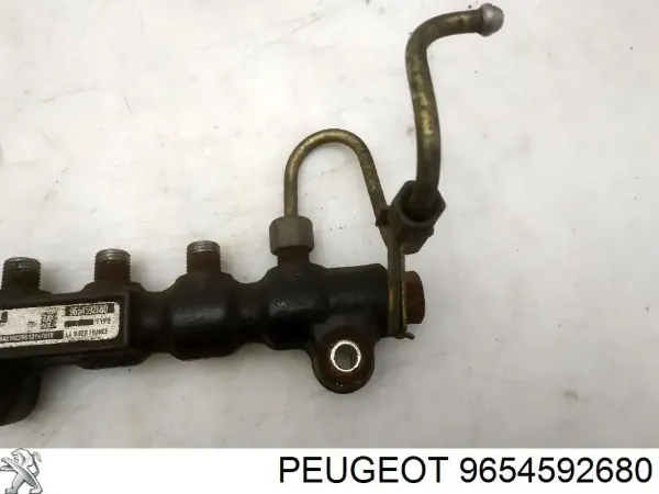 00001920GW Peugeot/Citroen