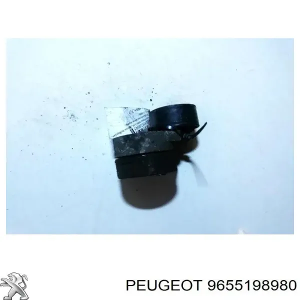 9655198980 Peugeot/Citroen