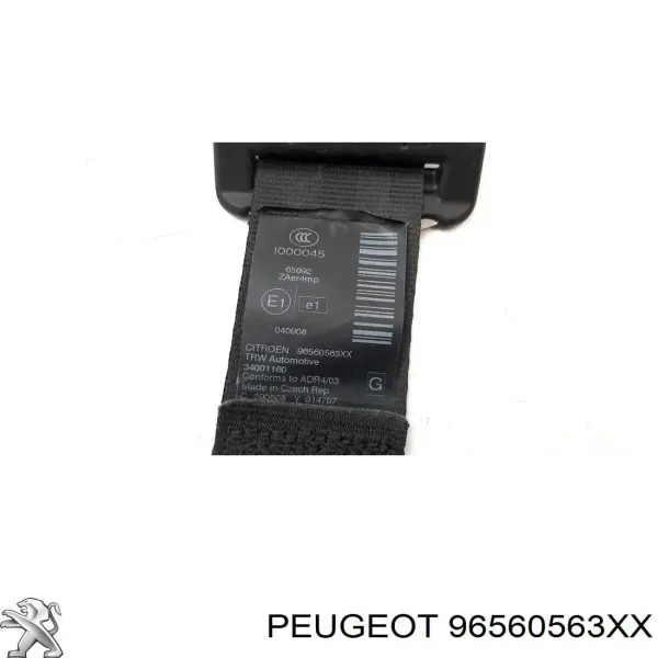  96560563XX Peugeot/Citroen