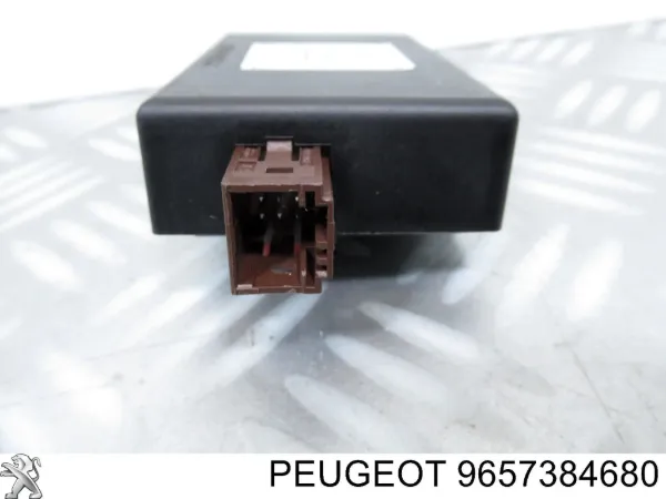  9657384680 Peugeot/Citroen