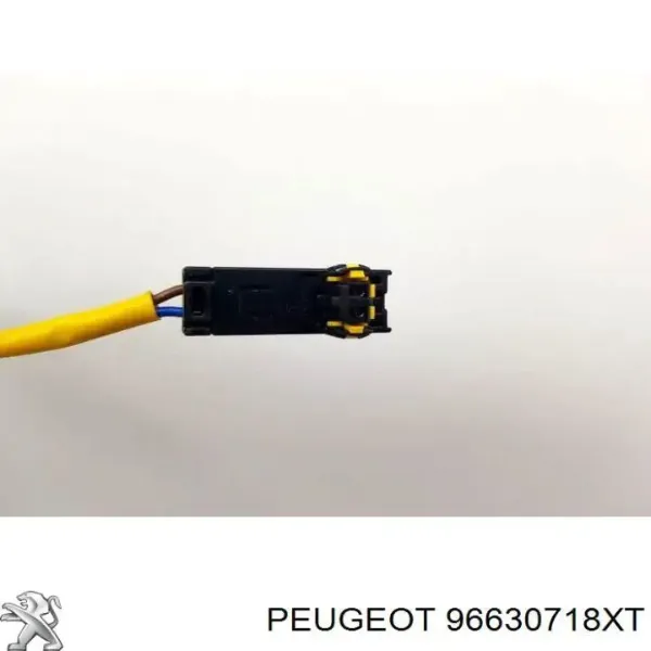  96630718XT Peugeot/Citroen
