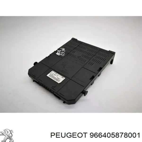  966405878001 Peugeot/Citroen