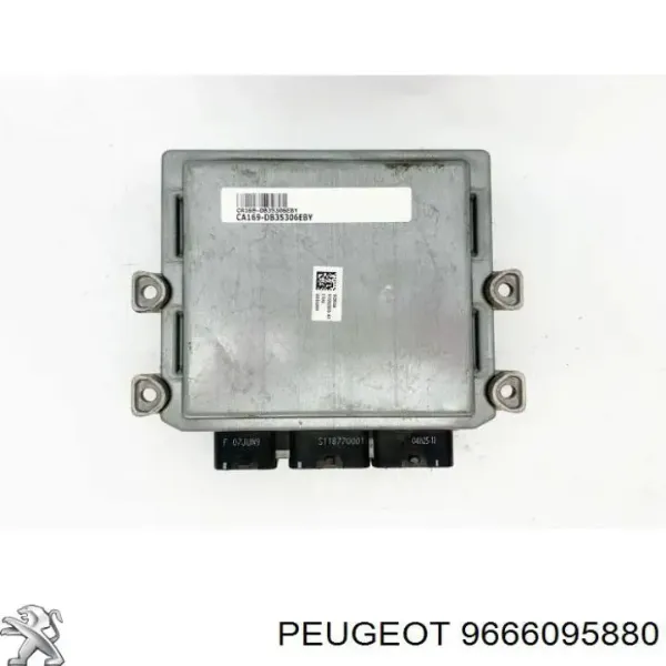  9666095880 Peugeot/Citroen