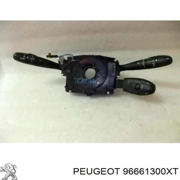  96661300XT Peugeot/Citroen