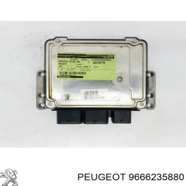  9666235880 Peugeot/Citroen