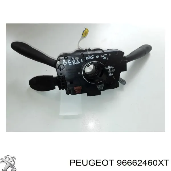  96662460XT Peugeot/Citroen