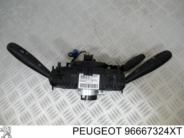  96667324XT Peugeot/Citroen
