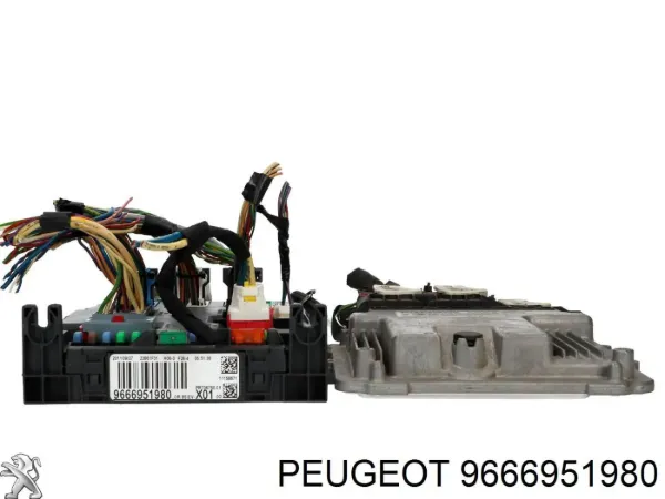  9666951980 Peugeot/Citroen