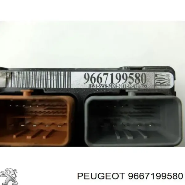  9667199580 Peugeot/Citroen