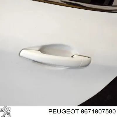 Puerta trasera izquierda PEUGEOT 9671907580