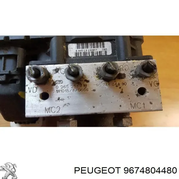 9674804480 Peugeot/Citroen