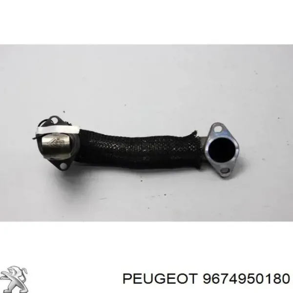  9674950180 Peugeot/Citroen