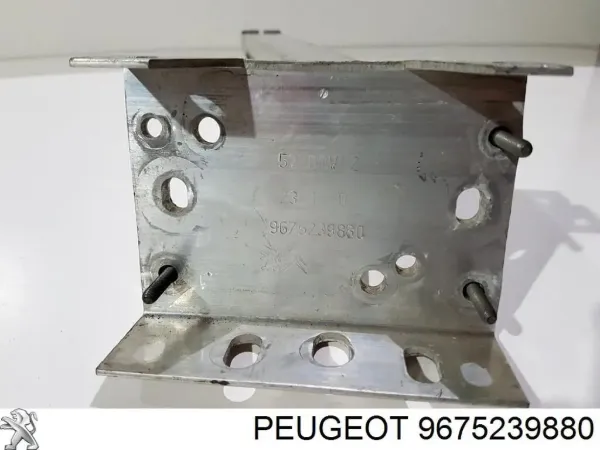  9830026080 Peugeot/Citroen
