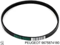 Correa de alternador Citroen C4 