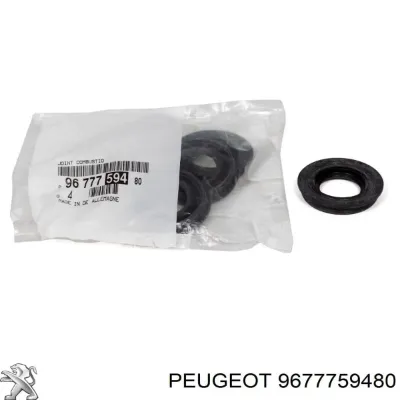 Junta anular, cavidad bujía PEUGEOT 9677759480