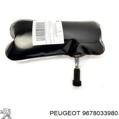 Aditivos del sistema de combustible para motores diésel PEUGEOT 9678033980