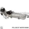 Enfriador de recirculación de gases de escape EGR Citroen C5 