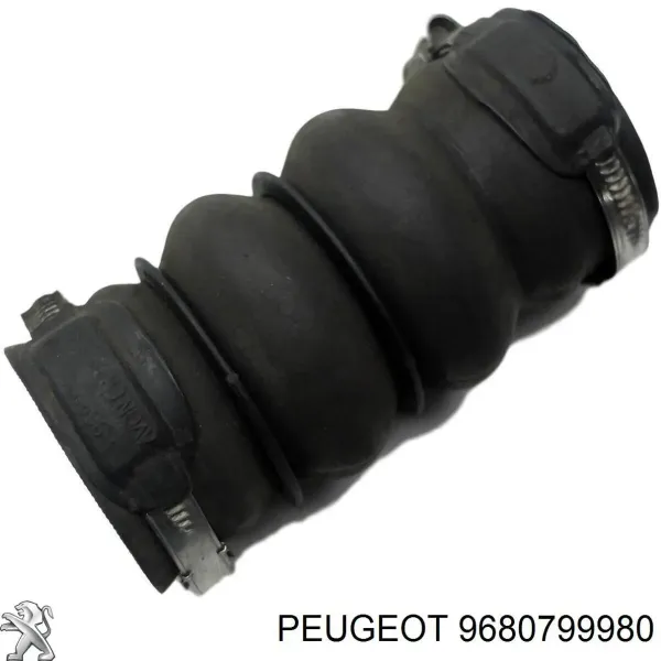  9680799980 Peugeot/Citroen