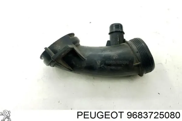 9683725080 Peugeot/Citroen