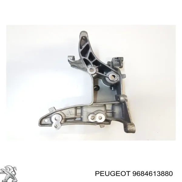  9684613880 Peugeot/Citroen