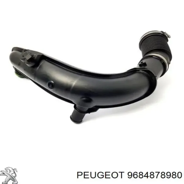  9684878980 Peugeot/Citroen