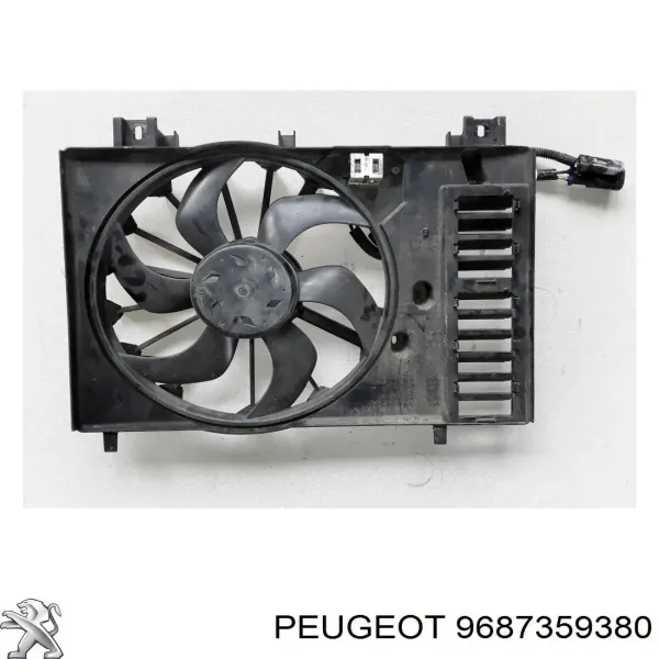  9687359380 Peugeot/Citroen