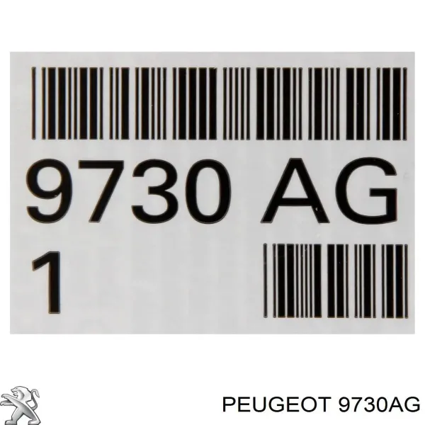 Aceite caja de cambios 9730AG Peugeot/Citroen