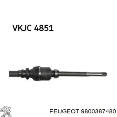 Semieje delantero derecho PEUGEOT 9800387480