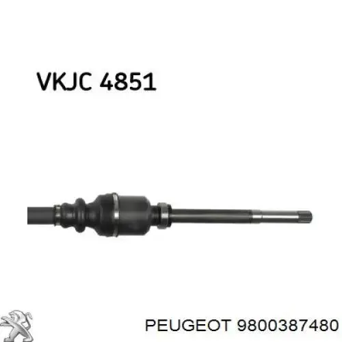 Semieje delantero derecho 9800387480 Peugeot/Citroen