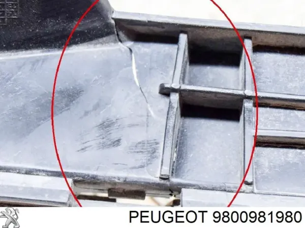 Soporte central del parachoques trasero 9800981980 Peugeot/Citroen