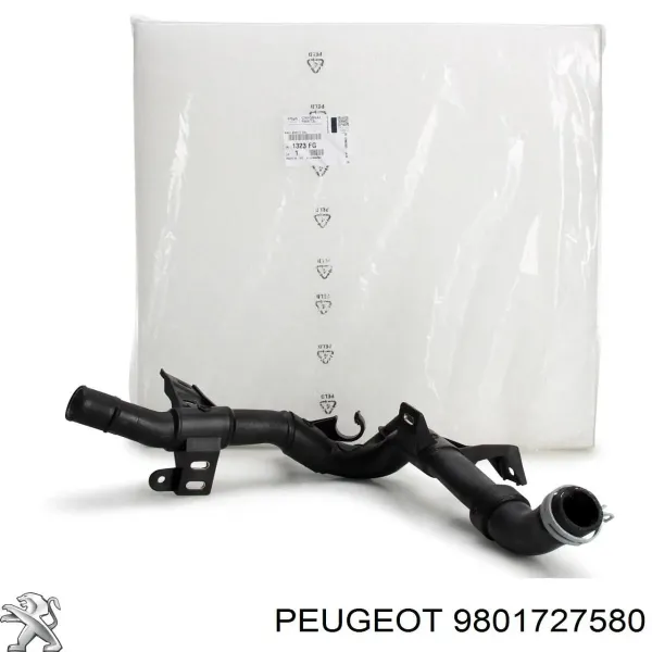  9801727580 Peugeot/Citroen