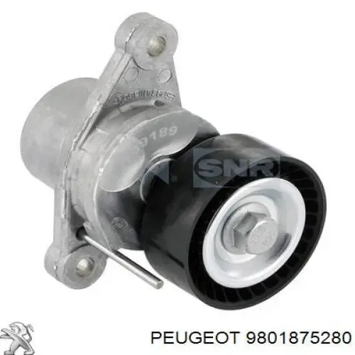 Tensor de correa poli V 9801875280 Peugeot/Citroen