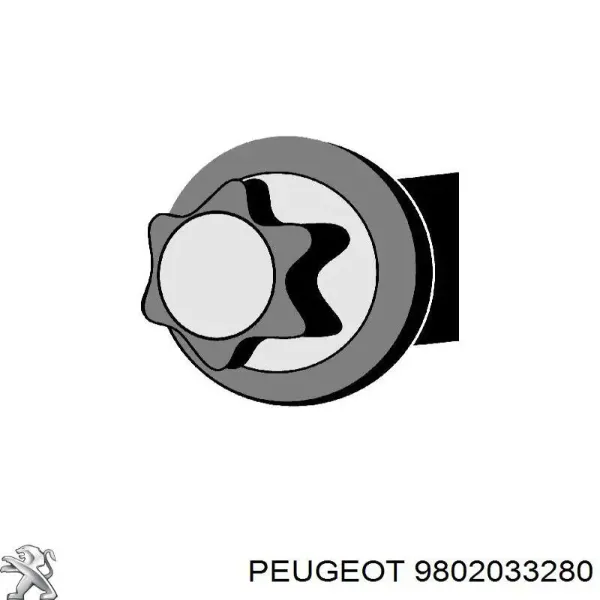 9802033280 Peugeot/Citroen