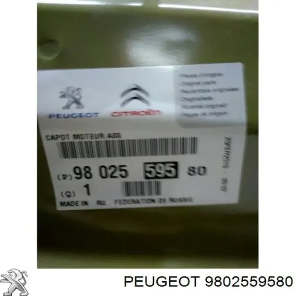 Capó Citroen C4 RUSSIA