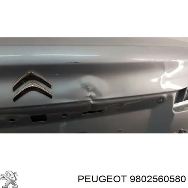 Tapa maletero Citroen C4 RUSSIA