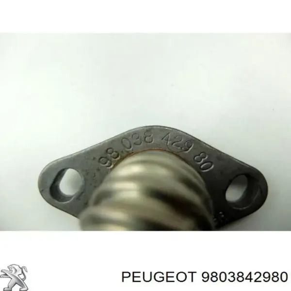 Tubo del sistema de recirculación de gases de escape EGR 9803842980 Peugeot/Citroen