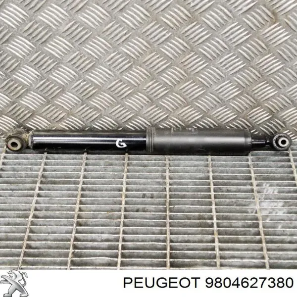  9804627380 Peugeot/Citroen