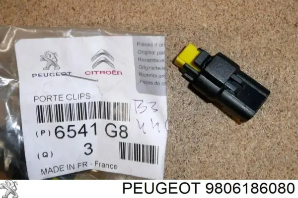  9806186080 Peugeot/Citroen