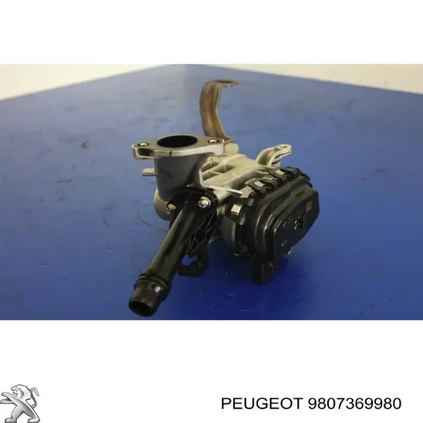Válvula EGR 9807369980 Peugeot/Citroen