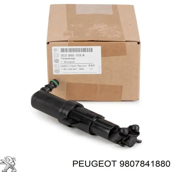9807841880 Peugeot/Citroen