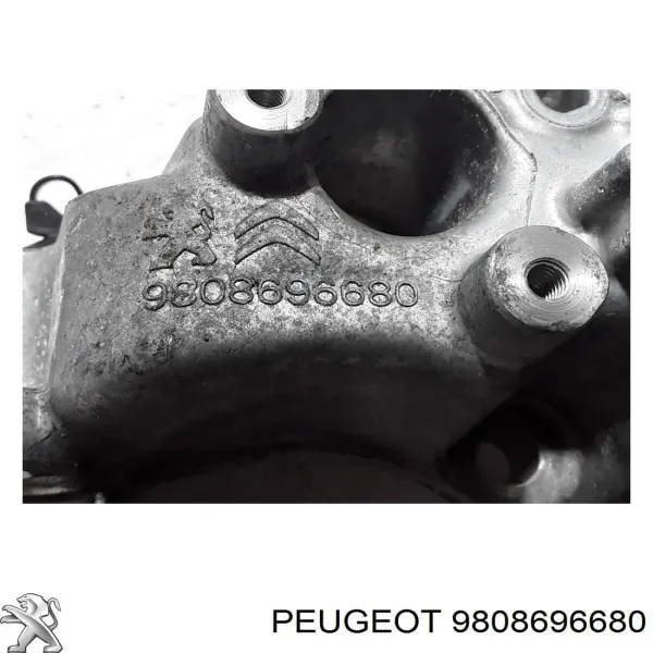 Soporte del alternador Citroen Berlingo K9