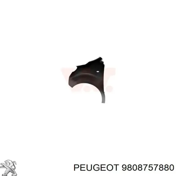 Aleta delantera izquierda 9808757880 Peugeot/Citroen