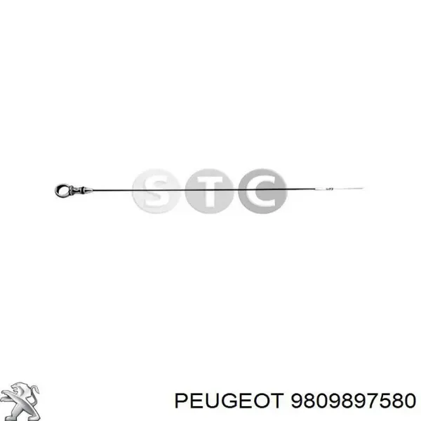 Varilla de aceite 9809897580 Peugeot/Citroen