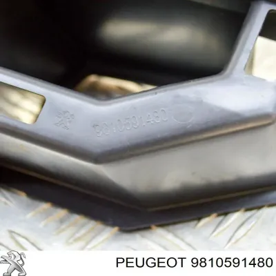 Soporte de parachoques trasero derecho PEUGEOT 9810591480