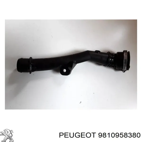 Tubo intercooler 9810958380 Peugeot/Citroen